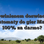 ?? Powinienem doswiadczyc w automaty do gier Malina 100% za darmo?