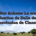 ?? Sur Acheter La creme Gratification de Salle de jeu A l�exclusion de Classe?