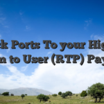 1. Pick Ports To your Highest Return to User (RTP) Payment