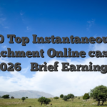 10 Top Instantaneous Detachment Online casinos 2026 � Brief Earnings
