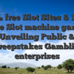 100 % free Slot Sites & 100 % free Slot machine game: Unveiling Public & Sweepstakes Gambling enterprises