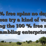 100 % free spins no deposit bonuses try a kind of venture during the 100 % free spins gambling enterprises