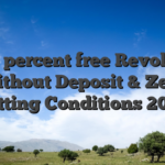 100 percent free Revolves Without Deposit & Zero Betting Conditions 2026
