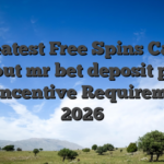 14 Greatest Free Spins Casinos Without mr bet deposit promo Put Incentive Requirements 2026