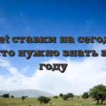 1xBet ставки на сегодня: все, что нужно знать в 2026 году