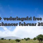2 500+ vederlagsfri free spins, fr chancer februar 2026