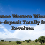 2. Insane Western Wins – 20 No-deposit Totally free Revolves