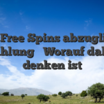 29 Free Spins abzuglich Einzahlung � Worauf dahinter denken ist
