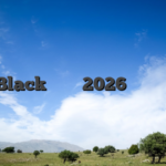 29Blackカジノレビュー2026多くの楽しいゲームをプレイ