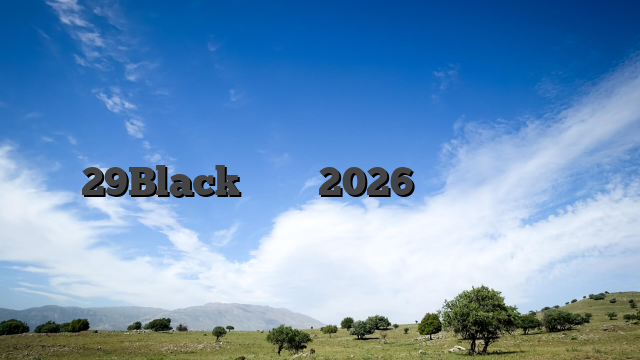 29Blackカジノレビュー2026多くの楽しいゲームをプレイ