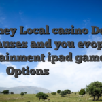 3 Money Local casino Deposit Bonuses and you evoplay entertainment ipad games will Options 【公式】那須高原の宿 山水閣
