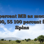 300percent MB as much as 6000, 55 100 percent free Spins