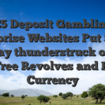 £5 Deposit Gambling enterprise Websites Put 5 how to play thunderstruck on ios get Free Revolves and Extra Currency
