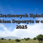 50 Gratisowych Spinów z brakiem Depozytu w całej 2025