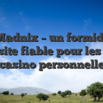 7. Madnix – un formidble website fiable pour les jeux pour casino personnellement