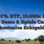 96 31% RTP, 10.000x Max Win Demo & Spiele Casino kostenlos Echtgeld