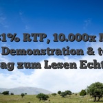 96 31% RTP, 10.000x Max Win Demonstration & toller Beitrag zum Lesen Echtgeld