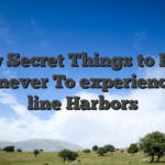 A few Secret Things to Recall Whenever To experience On line Harbors