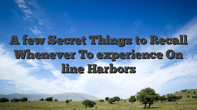 A few Secret Things to Recall Whenever To experience On line Harbors