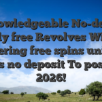 A knowledgeable No-deposit Totally free Revolves With no Wagering free spins unicorn gems no deposit To possess 2026!