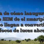 Acerca de cómo inaugurar una plato SIM de el smartphone cual no llegan a convertirse en focos de luces abre