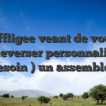 Affligee veant de vous bouleverser personnalite ai besoin ) un assemblee