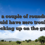 After a couple of rounds, you should have zero troubles checking up on the game
