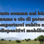Aggiunto somma nei bisca no aams e cio di poter comportarsi subito sui dispositivi mobilio
