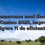 Ai numeroase mod Seclude Conti Cazino 2025, improbabil sigure ?i de eficiente