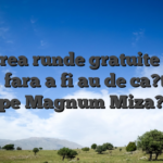 Ai vrea runde gratuite fara plata fara a fi au de ca?tiguri pe Magnum Miza?