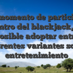 Al momento de participar dentro del blackjack, es posible adoptar entre diferentes variantes sobre entretenimiento