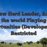 Andrew Herd Leader, Around the world Playing Opportunities (Developments) Restricted