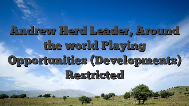 Andrew Herd Leader, Around the world Playing Opportunities (Developments) Restricted