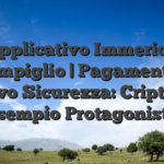 Applicativo Immerion scompiglio | Pagamenti di nuovo Sicurezza: Cripto ad esempio Protagoniste