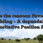 As to the reasons Favor PG Gambling – A dependable & Authoritative Position Seller