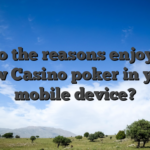 As to the reasons enjoy Pai Gow Casino poker in your mobile device?