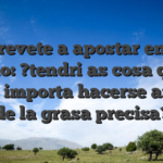 Atrevete a apostar en el casino: ?tendri�as cosa que si no le importa hacerse amiga de la grasa precisa?