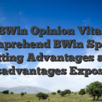 BWin Opinion Vital Comprehend BWin Sports betting Advantages and disadvantages Exposed