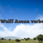 Bally Wulff Asena verbunden