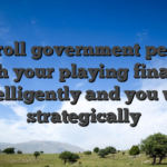 Bankroll government pertains to with your playing financing intelligently and you will strategically