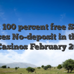 Best 100 percent free Spins Bonuses No-deposit in the You S. Casinos February 2026