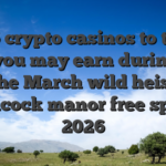 Best 6 crypto casinos to try out and you may earn during the in the March wild heist at peacock manor free spins 2026