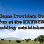 Best Game Providers Guiding the fun at the EXTREME88 Gambling establishment