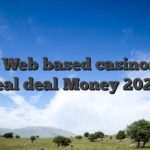 Best Web based casinos the real deal Money 2026
