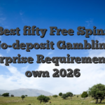 Best fifty Free Spins No-deposit Gambling enterprise Requirements to own 2026