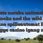 Beste norske nettcasino goldilocks and the wild bears online spilleautomat Finn trygge casino igang nett