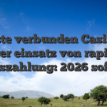 Beste verbunden Casinos unter einsatz von rapider Auszahlung: 2026 sofort