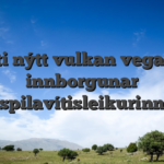 Besti nýtt vulkan vegas án innborgunar spilavítisleikurinn