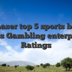 BetChaser top 5 sports betting apps Gambling enterprise Ratings