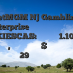BetMGM Nj Gambling Enterprise Προσθήκη κωδικού μπόνους BOOKIESCAS: Κερδίστε 1.100.000 $ κατάθεσης, είκοσι πέντε $ στην Οικογένεια στις 29 Ιανουαρίου